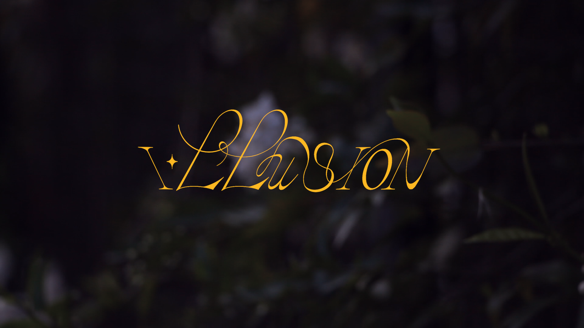 scan catalogue d'artiste