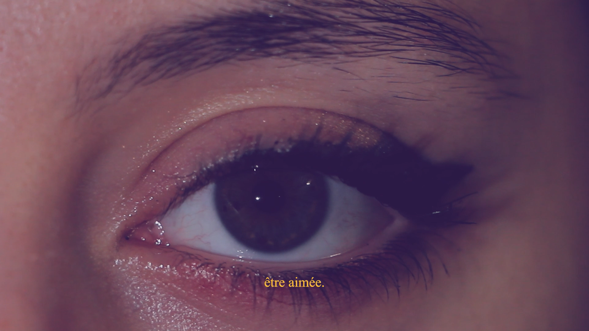 scan catalogue d'artiste