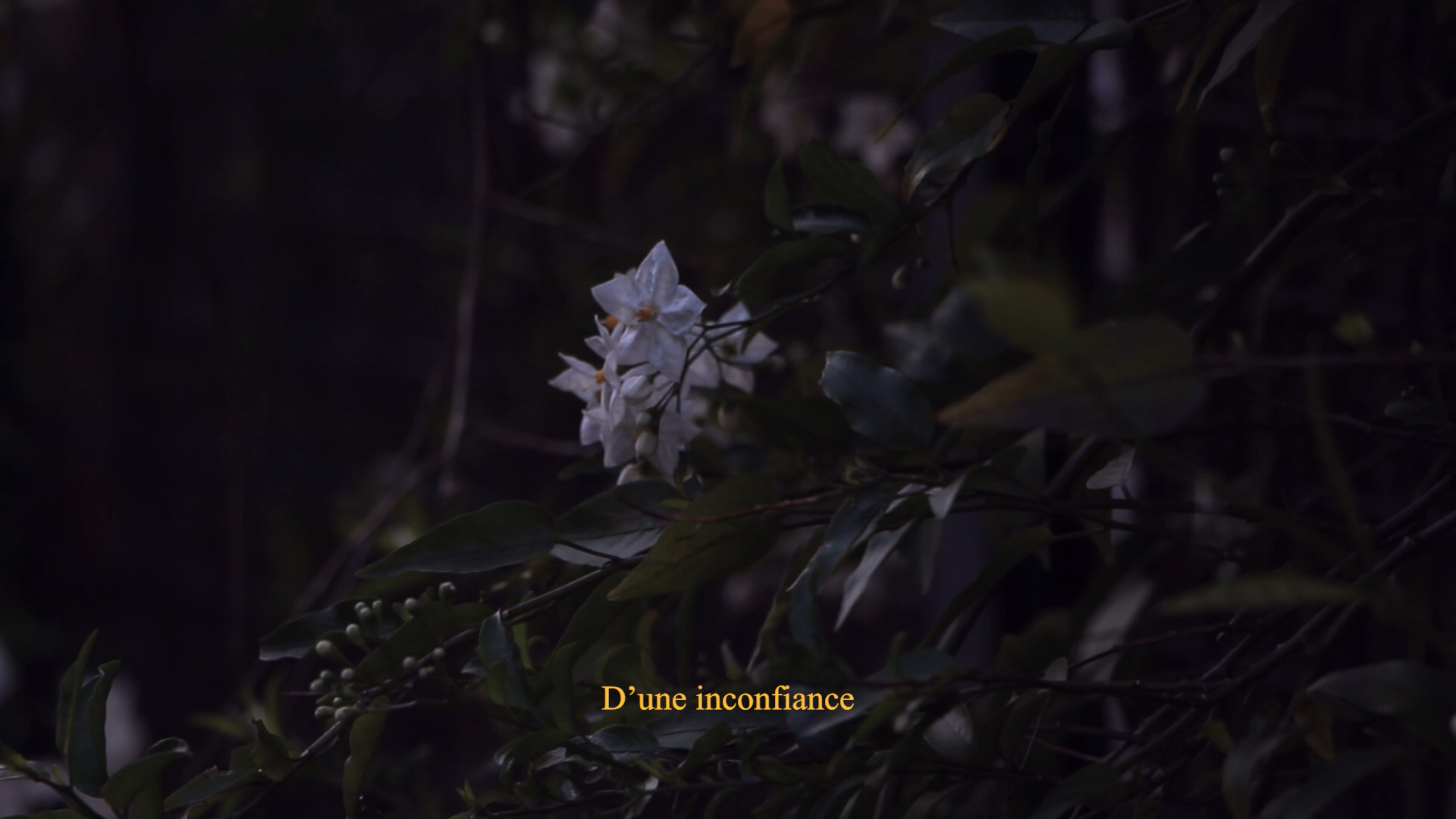 scan catalogue d'artiste