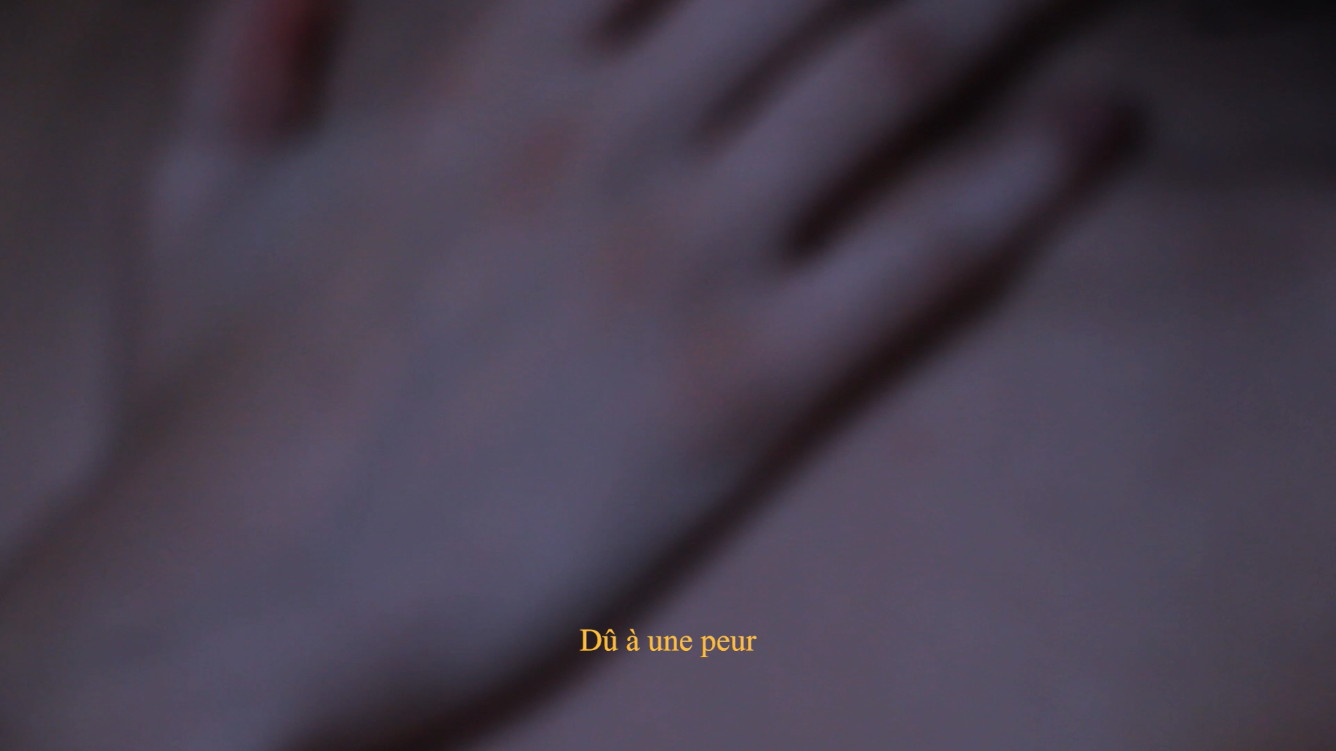 scan catalogue d'artiste