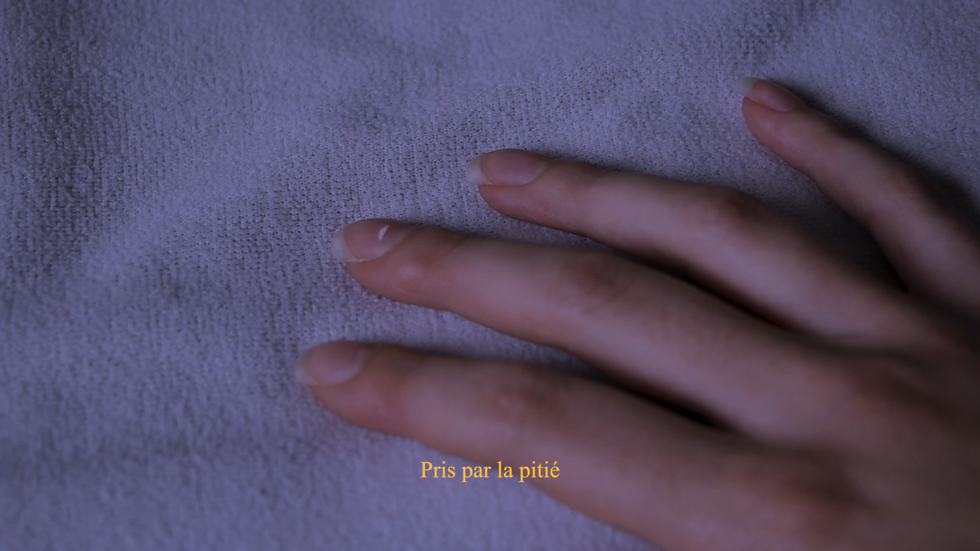 scan catalogue d'artiste