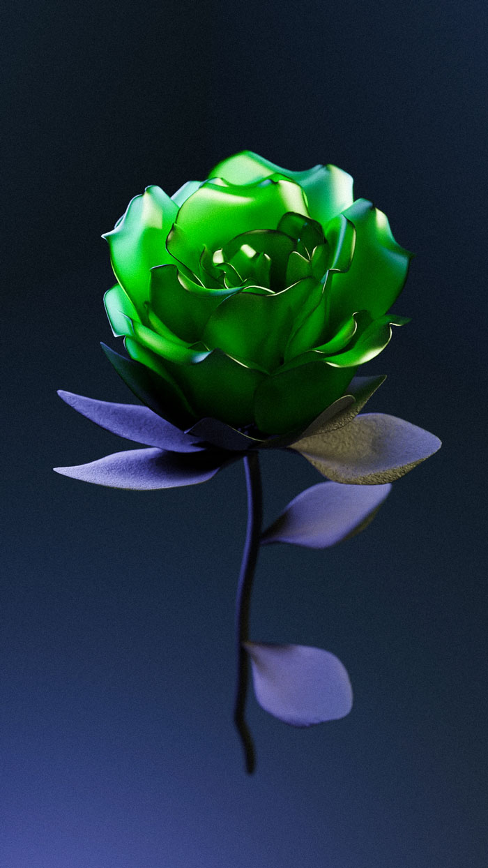 modélisation 3d d'une rose