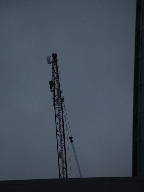 photo de la Défense de nuit