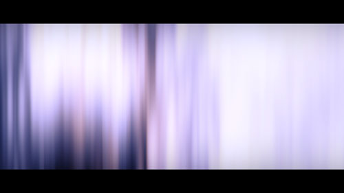 scan catalogue d'artiste