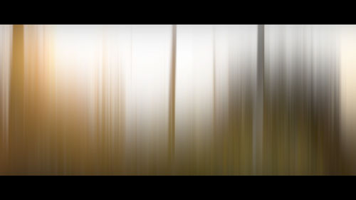 scan catalogue d'artiste