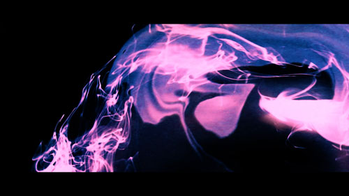 scan catalogue d'artiste