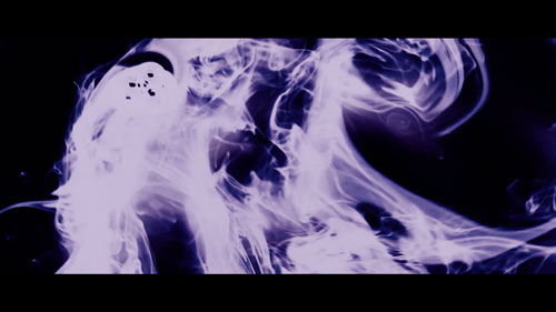 scan catalogue d'artiste