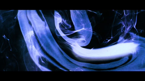 scan catalogue d'artiste