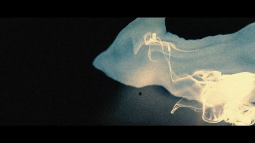 scan catalogue d'artiste